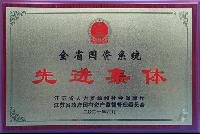 全省國資系統(tǒng)先進(jìn)集體獎(jiǎng)牌